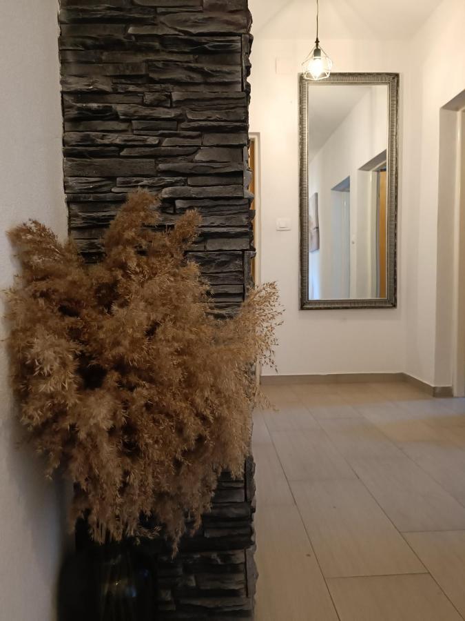 ビオグラード・ナ・モルApartman Brigitaアパートメント エクステリア 写真